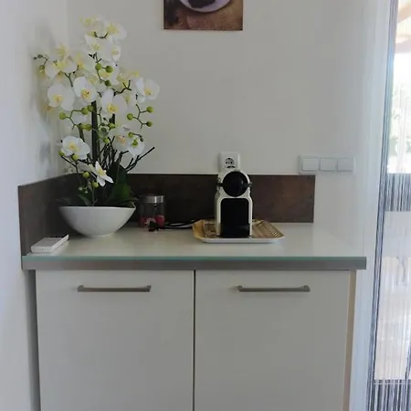 Sandro Apartamento Vilanija